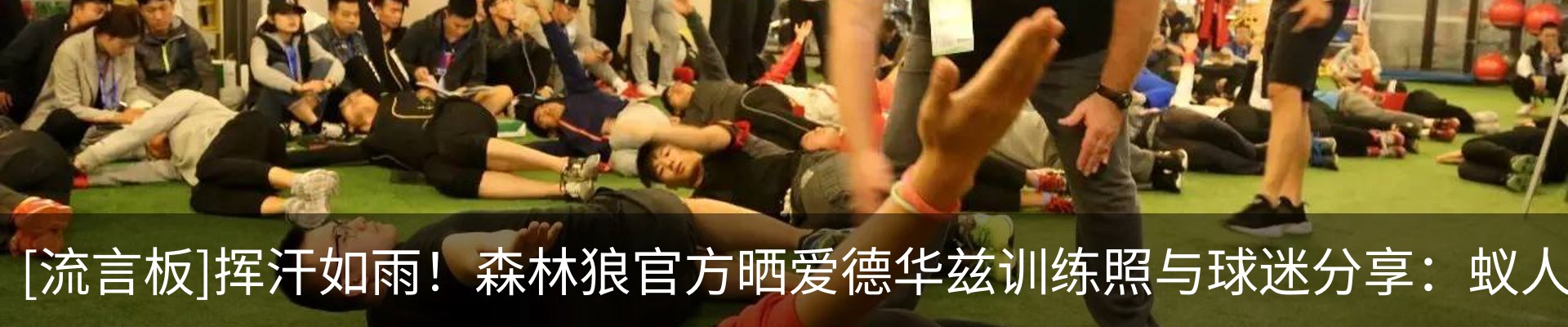 资讯动态